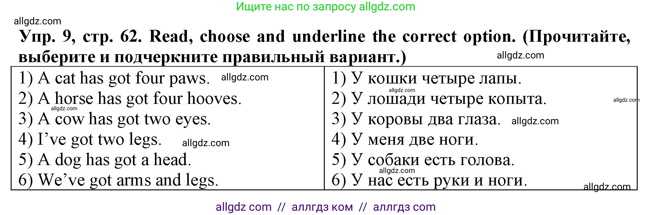 Английский язык (english), 2 класс Сборник упражнений, автор: Котова Марина Петровна, издательство Просвещение, Москва, 2023, белого цвета, страница 62, номер 9, Решение