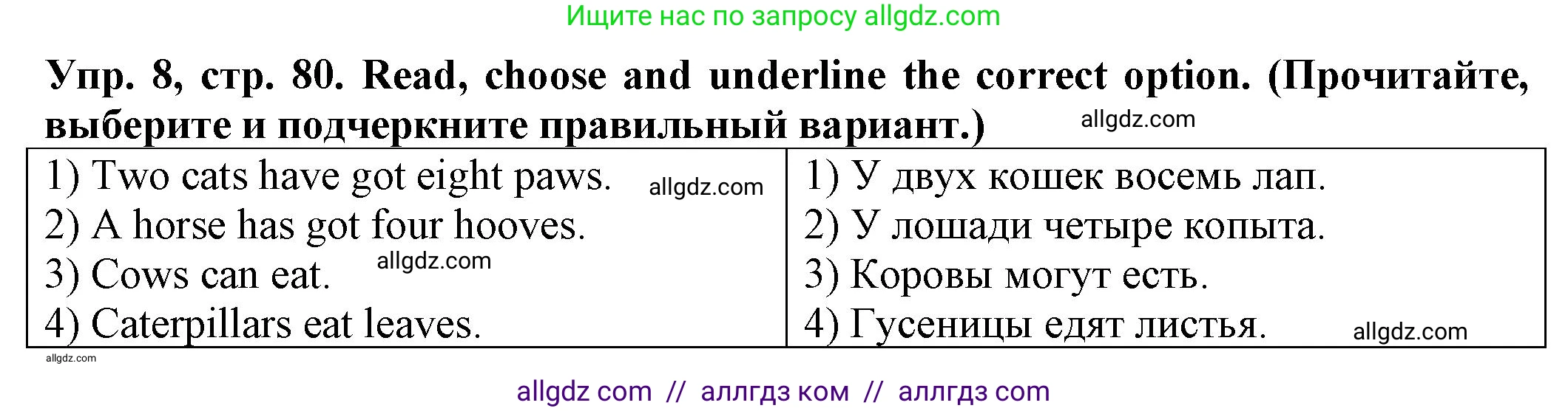 Английский язык (english), 2 класс Сборник упражнений, автор: Котова Марина Петровна, издательство Просвещение, Москва, 2023, белого цвета, страница 80, номер 8, Решение