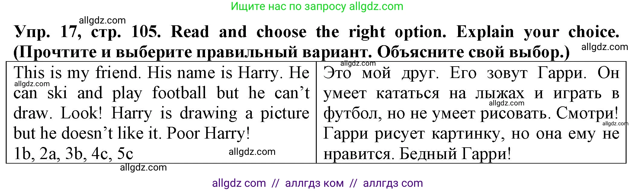 Английский язык (english), 2 класс Сборник упражнений, автор: Котова Марина Петровна, издательство Просвещение, Москва, 2023, белого цвета, страница 105, номер 17, Решение