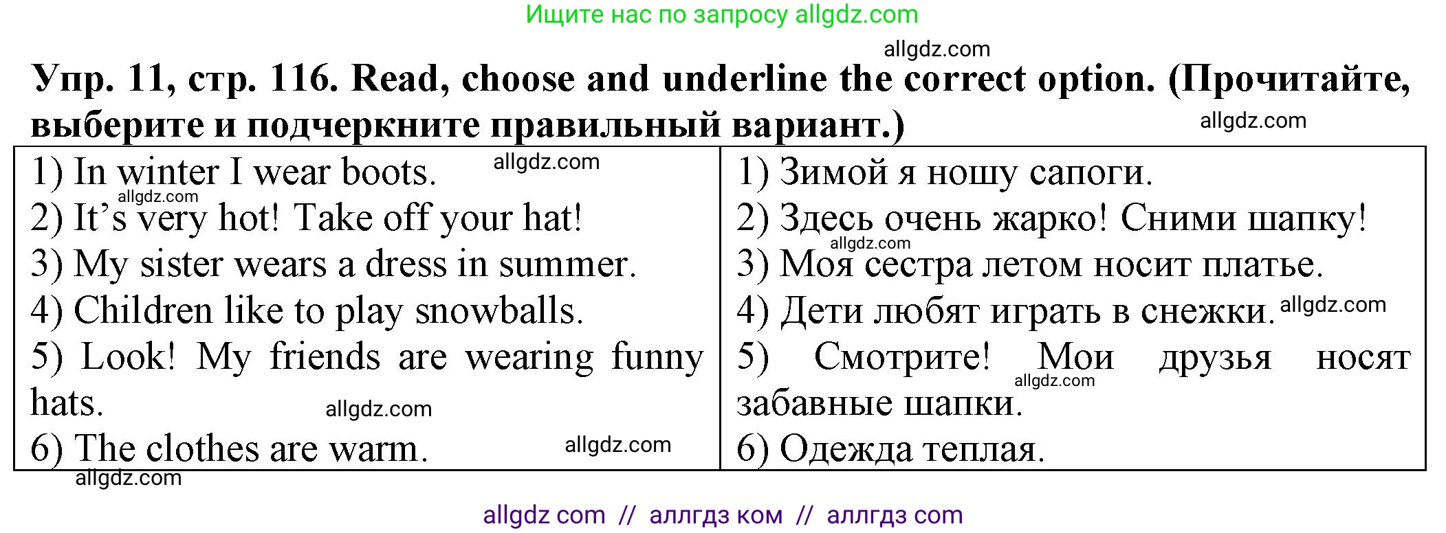 Английский язык (english), 2 класс Сборник упражнений, автор: Котова Марина Петровна, издательство Просвещение, Москва, 2023, белого цвета, страница 116, номер 11, Решение