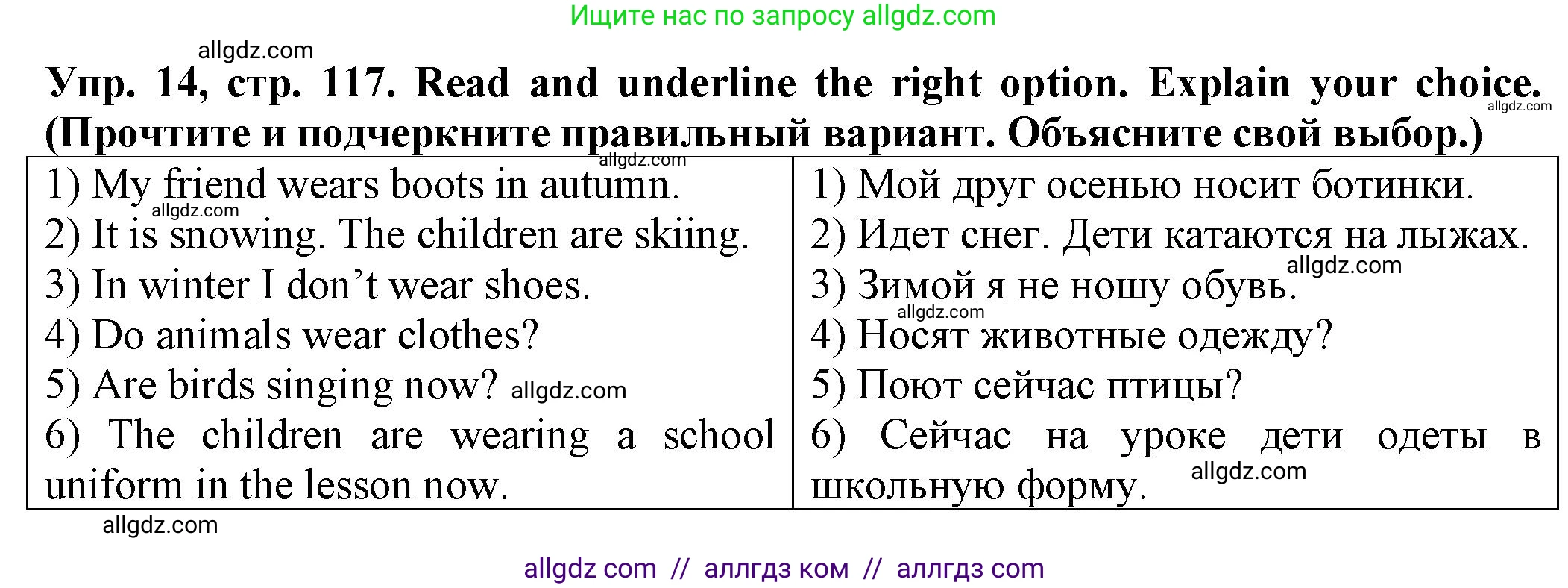 Английский язык (english), 2 класс Сборник упражнений, автор: Котова Марина Петровна, издательство Просвещение, Москва, 2023, белого цвета, страница 117, номер 14, Решение