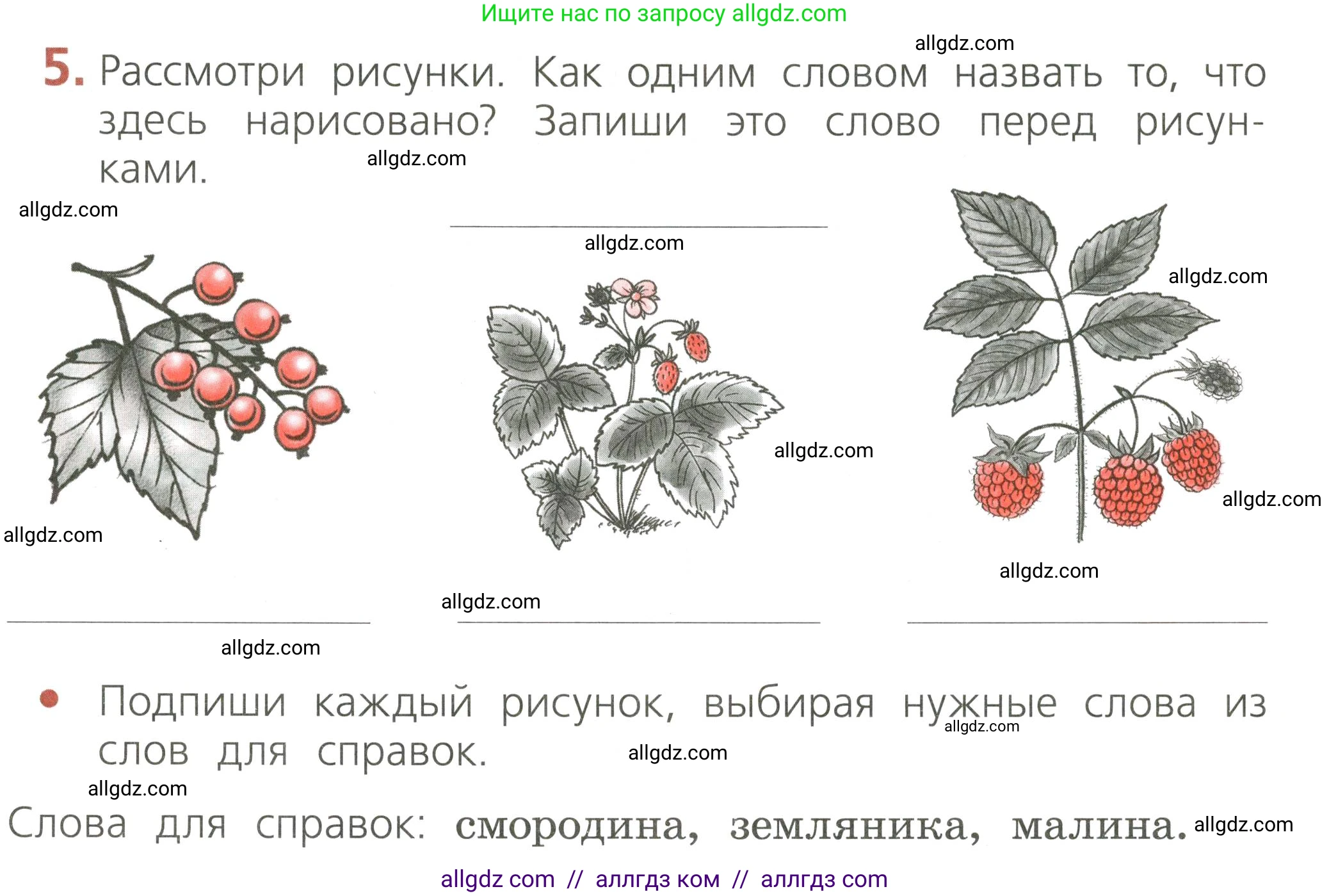 Русский язык, 2 класс Тетрадь учебных достижений, автор: Канакина Валентина Павловна, издательство Просвещение, Москва, 2023, белого цвета, страница 17, номер 5, Условие
