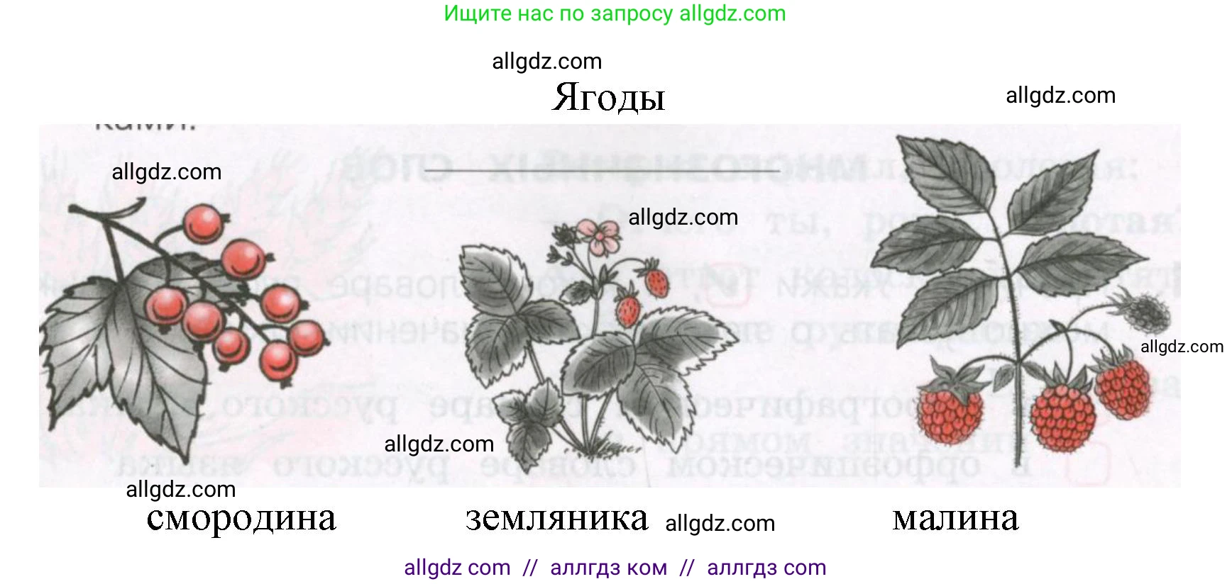 Русский язык, 2 класс Тетрадь учебных достижений, автор: Канакина Валентина Павловна, издательство Просвещение, Москва, 2023, белого цвета, страница 17, номер 5, Решение (продолжение 2)
