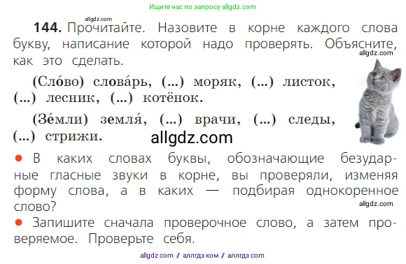 Русский язык, 2 класс Учебник, авторы: Канакина Валентина Павловна, Горецкий Всеслав Гаврилович, издательство Просвещение, Москва, 2023, белого цвета, Часть 1, страница 96, номер 144, Условие