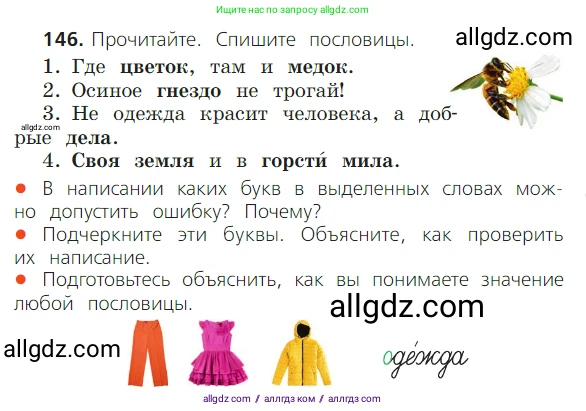 Русский язык, 2 класс Учебник, авторы: Канакина Валентина Павловна, Горецкий Всеслав Гаврилович, издательство Просвещение, Москва, 2023, белого цвета, Часть 1, страница 97, номер 146, Условие