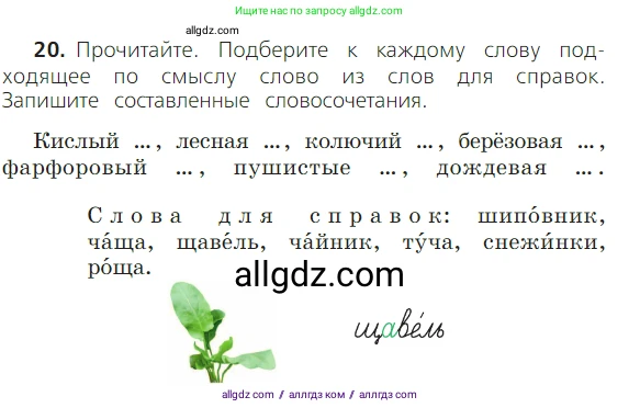 Русский язык, 2 класс Учебник, авторы: Канакина Валентина Павловна, Горецкий Всеслав Гаврилович, издательство Просвещение, Москва, 2023, белого цвета, Часть 2, страница 13, номер 20, Условие