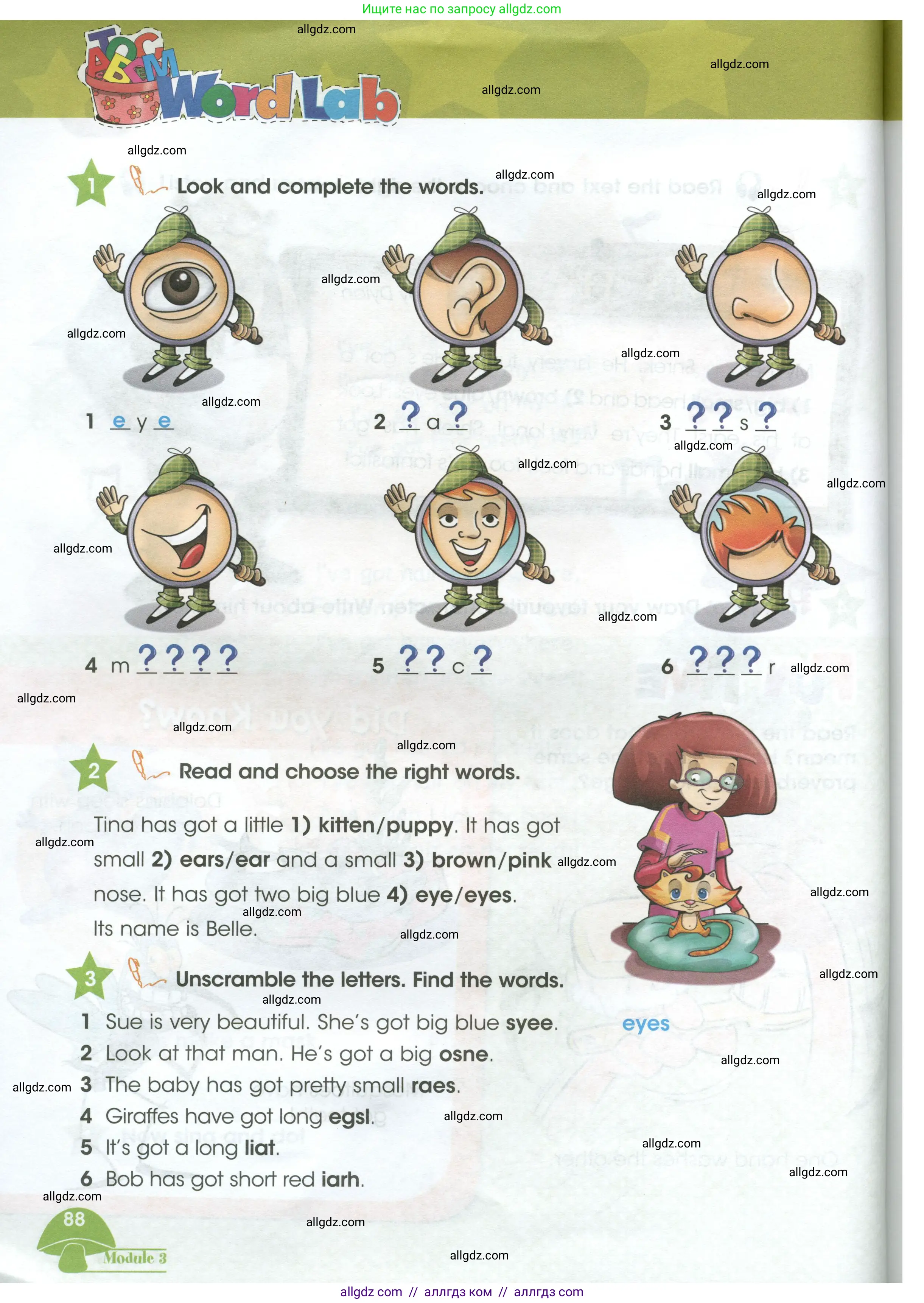 Английский язык (english), 3 класс Учебник (Student's book), авторы: Баранова Ксения Михайловна (Baranova Ksenia), Дули Дженни (Dooley Jenny), Копылова Виктория Викторовна (Kopylova Victoria), Мильруд Радислав Петрович (Millrood Radislav), Эванс Вирджиния (Evans Virginia), издательство Просвещение, Москва, 2023, зелёного цвета, Часть ( Part) 1, страница 88