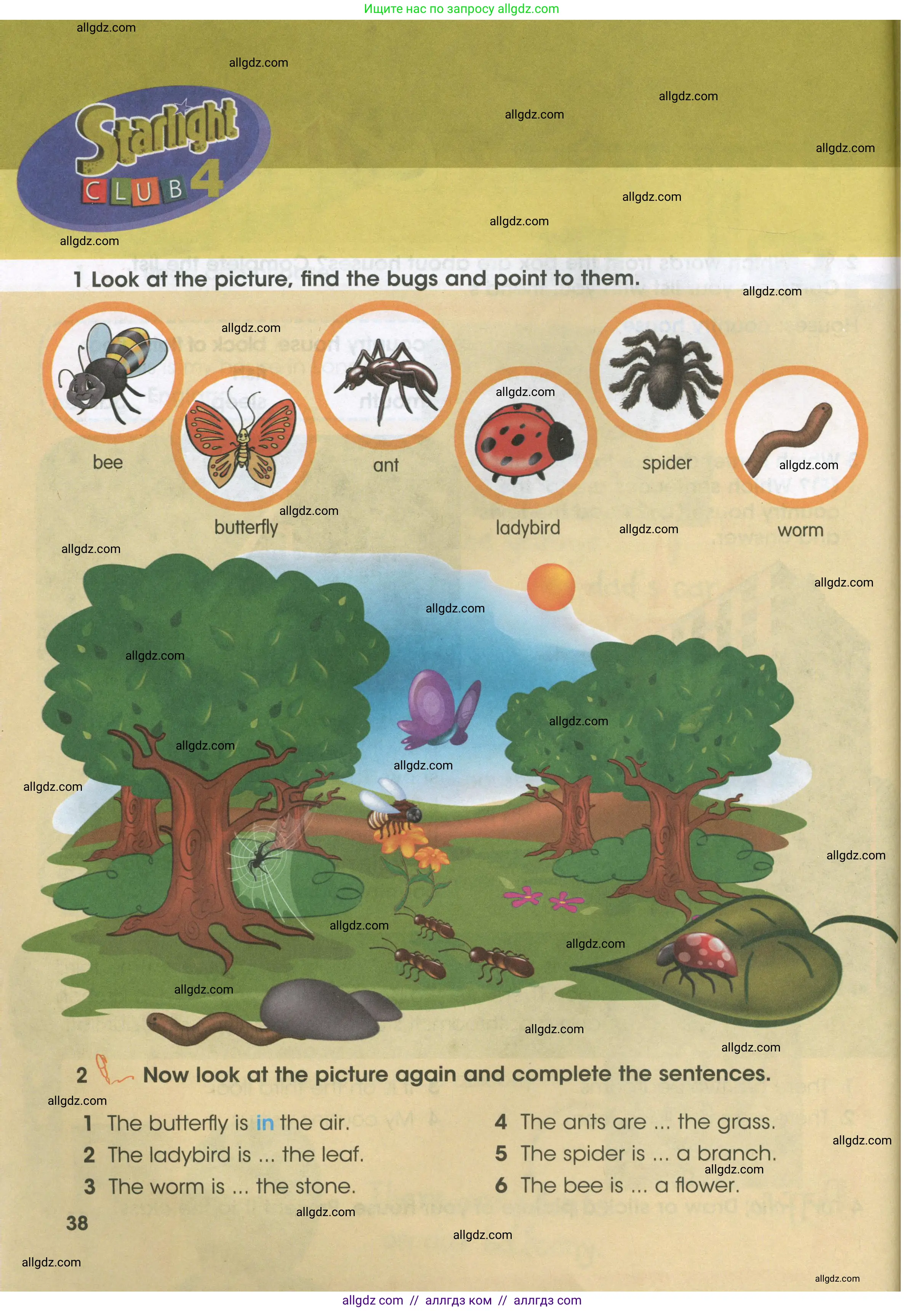 Английский язык (english), 3 класс Учебник (Student's book), авторы: Баранова Ксения Михайловна (Baranova Ksenia), Дули Дженни (Dooley Jenny), Копылова Виктория Викторовна (Kopylova Victoria), Мильруд Радислав Петрович (Millrood Radislav), Эванс Вирджиния (Evans Virginia), издательство Просвещение, Москва, 2023, зелёного цвета, Часть ( Part) 2, страница 38