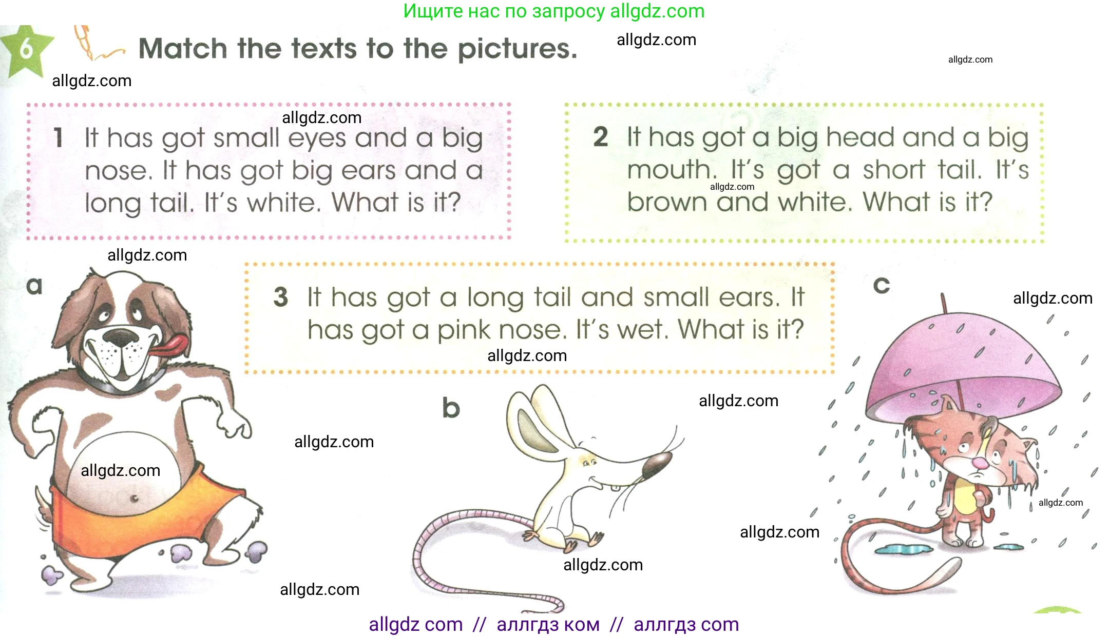 Английский язык (english), 3 класс Учебник (Student's book), авторы: Баранова Ксения Михайловна (Baranova Ksenia), Дули Дженни (Dooley Jenny), Копылова Виктория Викторовна (Kopylova Victoria), Мильруд Радислав Петрович (Millrood Radislav), Эванс Вирджиния (Evans Virginia), издательство Просвещение, Москва, 2023, зелёного цвета, Часть ( Part) 1, страница 79, номер 6, Условие