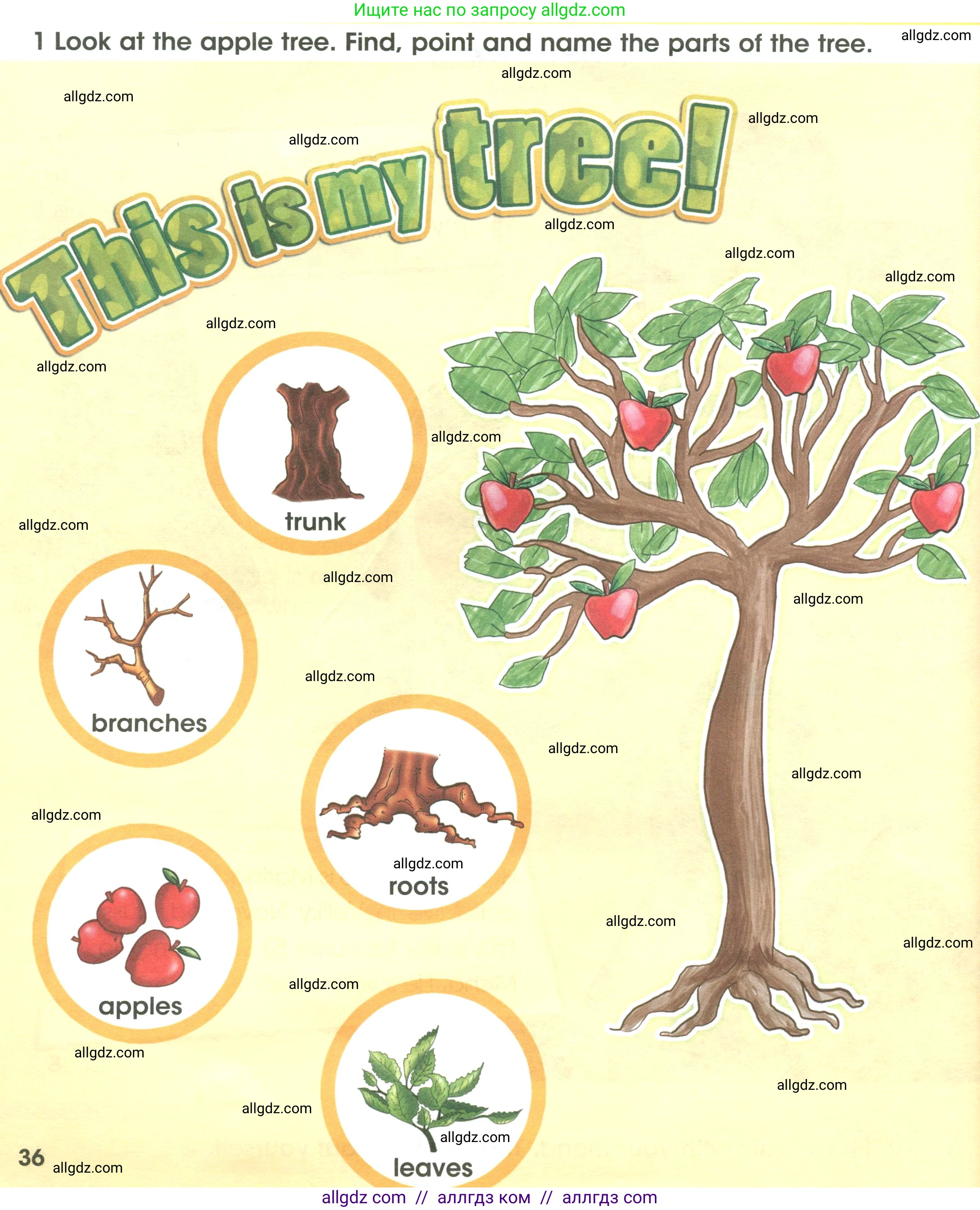 Английский язык (english), 3 класс Учебник (Student's book), авторы: Баранова Ксения Михайловна (Baranova Ksenia), Дули Дженни (Dooley Jenny), Копылова Виктория Викторовна (Kopylova Victoria), Мильруд Радислав Петрович (Millrood Radislav), Эванс Вирджиния (Evans Virginia), издательство Просвещение, Москва, 2023, зелёного цвета, Часть ( Part) 1, страница 36, номер 1, Условие