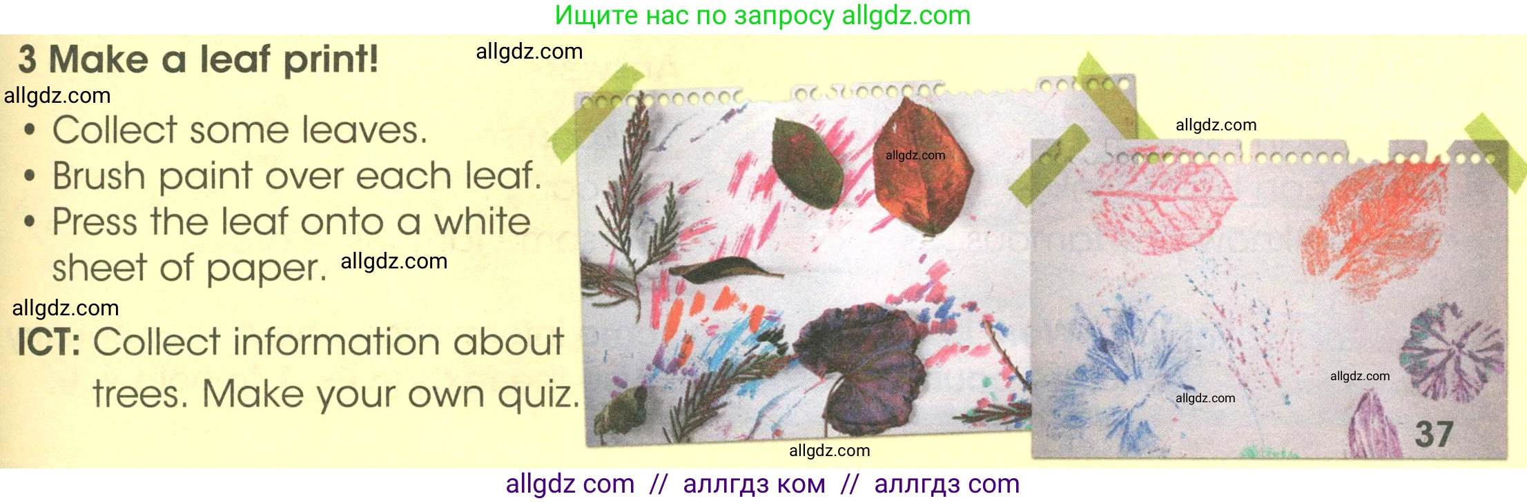 Английский язык (english), 3 класс Учебник (Student's book), авторы: Баранова Ксения Михайловна (Baranova Ksenia), Дули Дженни (Dooley Jenny), Копылова Виктория Викторовна (Kopylova Victoria), Мильруд Радислав Петрович (Millrood Radislav), Эванс Вирджиния (Evans Virginia), издательство Просвещение, Москва, 2023, зелёного цвета, Часть ( Part) 1, страница 37, номер 3, Условие