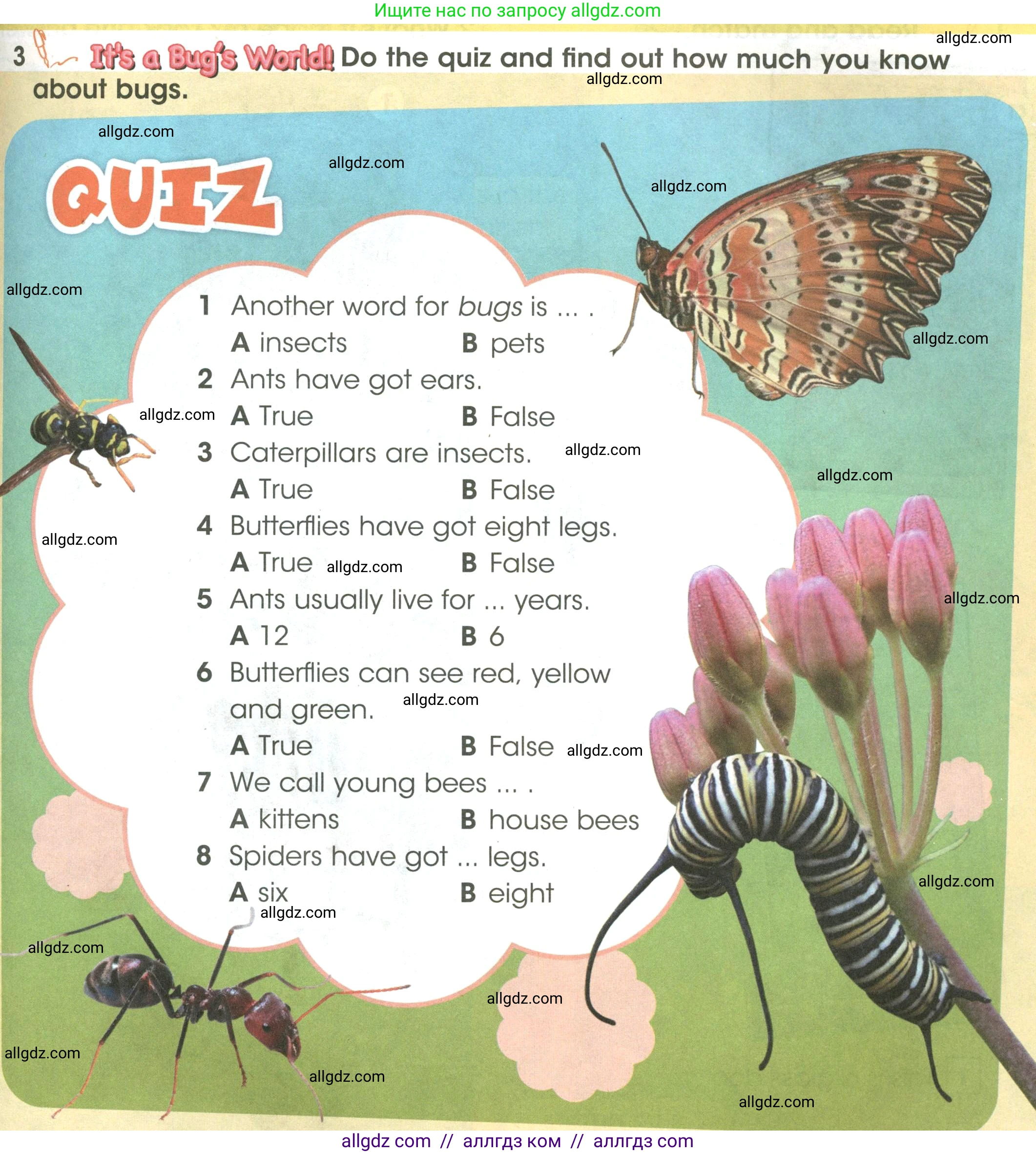 Английский язык (english), 3 класс Учебник (Student's book), авторы: Баранова Ксения Михайловна (Baranova Ksenia), Дули Дженни (Dooley Jenny), Копылова Виктория Викторовна (Kopylova Victoria), Мильруд Радислав Петрович (Millrood Radislav), Эванс Вирджиния (Evans Virginia), издательство Просвещение, Москва, 2023, зелёного цвета, Часть ( Part) 2, страница 39, номер 3, Условие