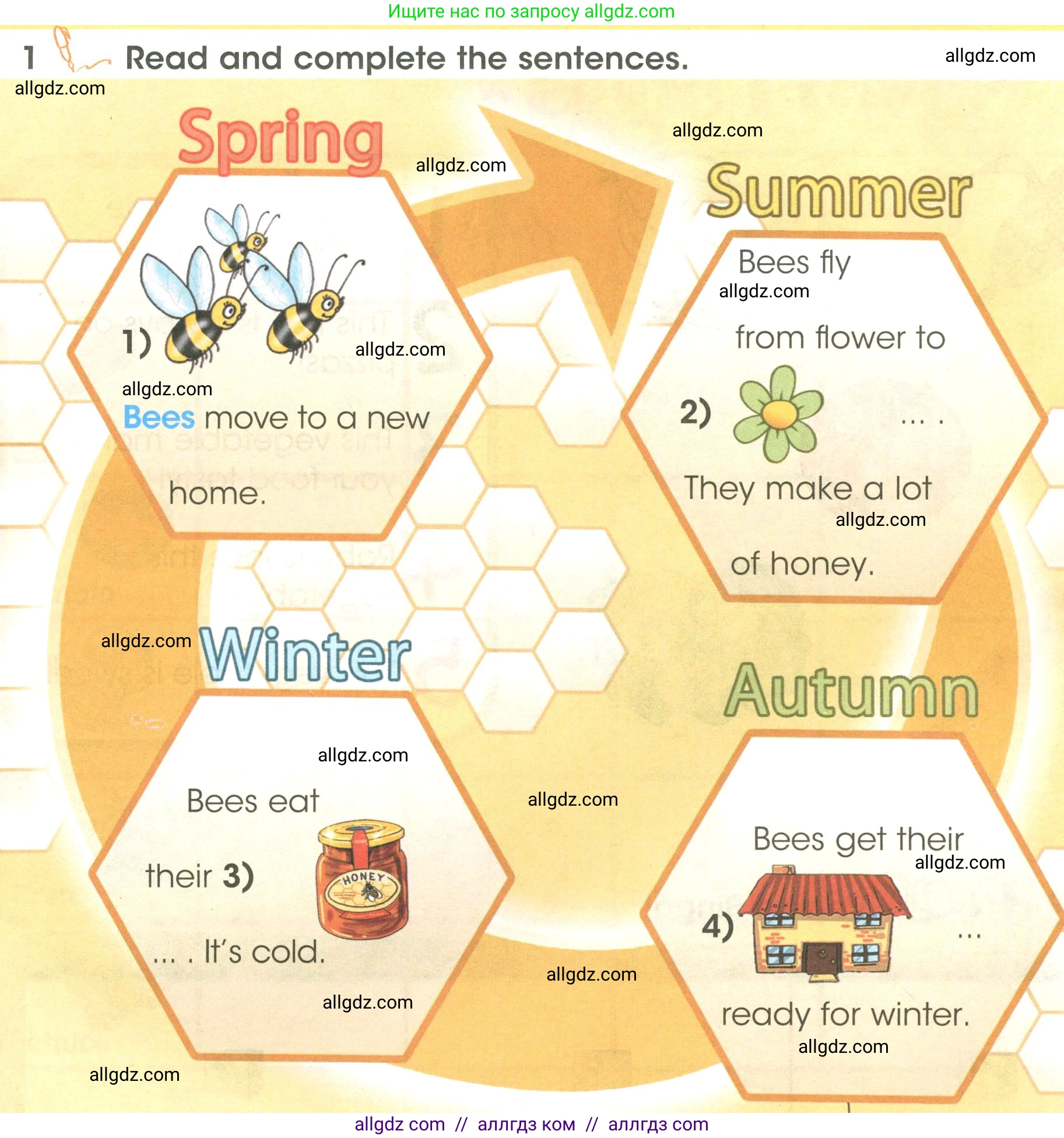 Английский язык (english), 3 класс Учебник (Student's book), авторы: Баранова Ксения Михайловна (Baranova Ksenia), Дули Дженни (Dooley Jenny), Копылова Виктория Викторовна (Kopylova Victoria), Мильруд Радислав Петрович (Millrood Radislav), Эванс Вирджиния (Evans Virginia), издательство Просвещение, Москва, 2023, зелёного цвета, Часть ( Part) 2, страница 116, номер 1, Условие