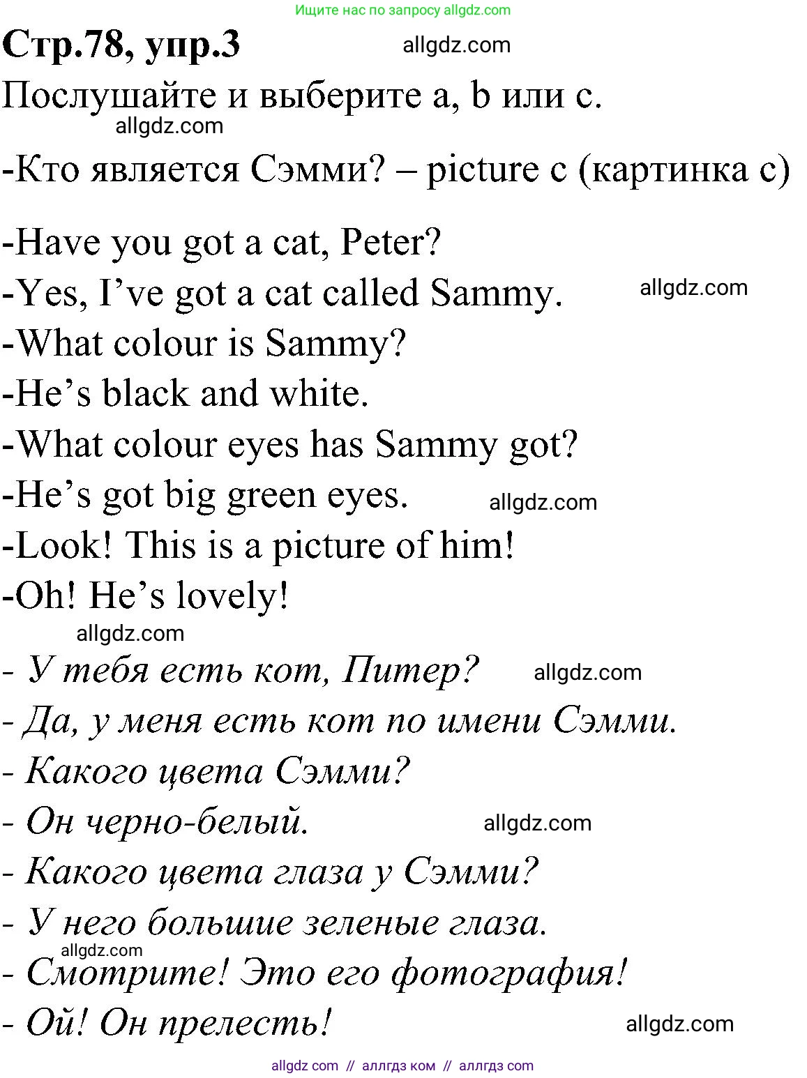 Английский язык (english), 3 класс Учебник (Student's book), авторы: Баранова Ксения Михайловна (Baranova Ksenia), Дули Дженни (Dooley Jenny), Копылова Виктория Викторовна (Kopylova Victoria), Мильруд Радислав Петрович (Millrood Radislav), Эванс Вирджиния (Evans Virginia), издательство Просвещение, Москва, 2023, зелёного цвета, Часть ( Part) 1, страница 78, номер 3, Решение