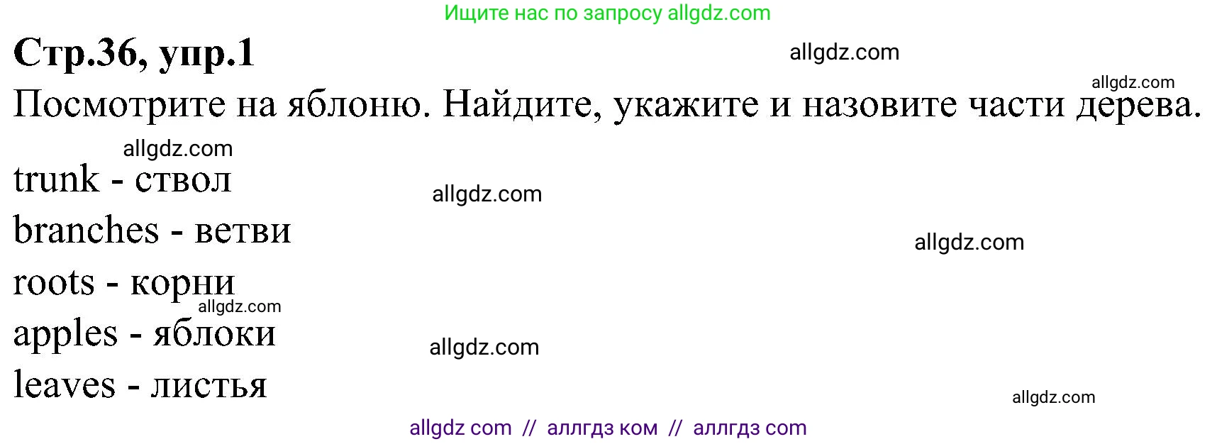 Английский язык (english), 3 класс Учебник (Student's book), авторы: Баранова Ксения Михайловна (Baranova Ksenia), Дули Дженни (Dooley Jenny), Копылова Виктория Викторовна (Kopylova Victoria), Мильруд Радислав Петрович (Millrood Radislav), Эванс Вирджиния (Evans Virginia), издательство Просвещение, Москва, 2023, зелёного цвета, Часть ( Part) 1, страница 36, номер 1, Решение