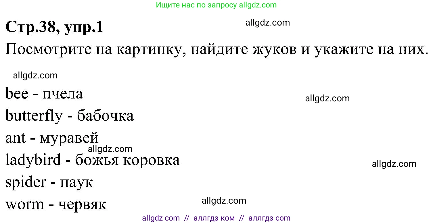 Английский язык (english), 3 класс Учебник (Student's book), авторы: Баранова Ксения Михайловна (Baranova Ksenia), Дули Дженни (Dooley Jenny), Копылова Виктория Викторовна (Kopylova Victoria), Мильруд Радислав Петрович (Millrood Radislav), Эванс Вирджиния (Evans Virginia), издательство Просвещение, Москва, 2023, зелёного цвета, Часть ( Part) 2, страница 38, номер 1, Решение