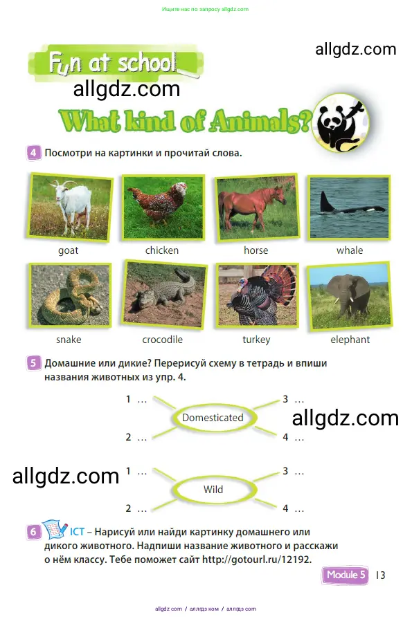 Английский язык (english), 3 класс Учебник (Student's book), авторы: Быкова Надежда Ильинична (Bykova Nadezhda), Дули Дженни (Dooley Jenny), Поспелова Марина Давидовна (Pospelova Marina), Эванс Вирджиния (Evans Virginia), издательство Просвещение, Москва, 2023, зелёного цвета, Часть 2, страница 13