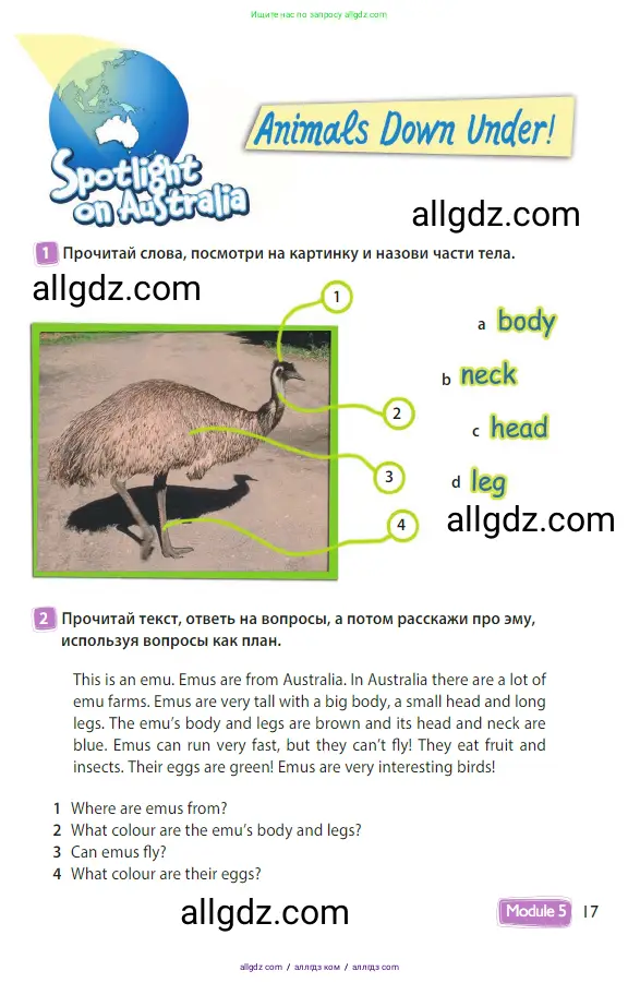 Английский язык (english), 3 класс Учебник (Student's book), авторы: Быкова Надежда Ильинична (Bykova Nadezhda), Дули Дженни (Dooley Jenny), Поспелова Марина Давидовна (Pospelova Marina), Эванс Вирджиния (Evans Virginia), издательство Просвещение, Москва, 2023, зелёного цвета, Часть 2, страница 17