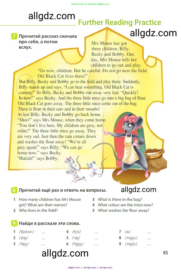 Английский язык (english), 3 класс Учебник (Student's book), авторы: Быкова Надежда Ильинична (Bykova Nadezhda), Дули Дженни (Dooley Jenny), Поспелова Марина Давидовна (Pospelova Marina), Эванс Вирджиния (Evans Virginia), издательство Просвещение, Москва, 2023, зелёного цвета, Часть 2, страница 85