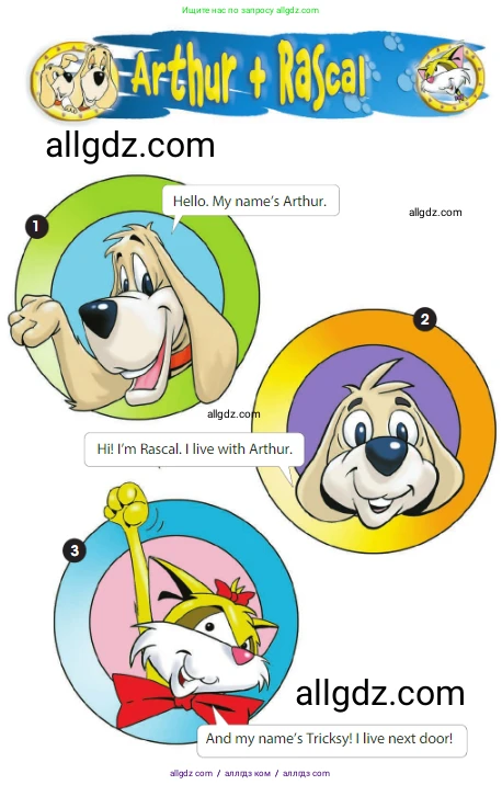 Английский язык (english), 3 класс Учебник (Student's book), авторы: Быкова Надежда Ильинична (Bykova Nadezhda), Дули Дженни (Dooley Jenny), Поспелова Марина Давидовна (Pospelova Marina), Эванс Вирджиния (Evans Virginia), издательство Просвещение, Москва, 2023, зелёного цвета, Часть 1, страница 24, Условие