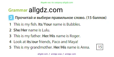 Английский язык (english), 3 класс Учебник (Student's book), авторы: Быкова Надежда Ильинична (Bykova Nadezhda), Дули Дженни (Dooley Jenny), Поспелова Марина Давидовна (Pospelova Marina), Эванс Вирджиния (Evans Virginia), издательство Просвещение, Москва, 2023, зелёного цвета, Часть 1, страница 40, номер 2, Условие