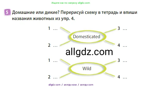Английский язык (english), 3 класс Учебник (Student's book), авторы: Быкова Надежда Ильинична (Bykova Nadezhda), Дули Дженни (Dooley Jenny), Поспелова Марина Давидовна (Pospelova Marina), Эванс Вирджиния (Evans Virginia), издательство Просвещение, Москва, 2023, зелёного цвета, Часть 2, страница 13, номер 5, Условие