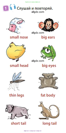 Английский язык (english), 3 класс Учебник (Student's book), авторы: Быкова Надежда Ильинична (Bykova Nadezhda), Дули Дженни (Dooley Jenny), Поспелова Марина Давидовна (Pospelova Marina), Эванс Вирджиния (Evans Virginia), издательство Просвещение, Москва, 2023, зелёного цвета, Часть 2, страница 6, номер 1, Условие