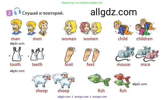 Английский язык (english), 3 класс Учебник (Student's book), авторы: Быкова Надежда Ильинична (Bykova Nadezhda), Дули Дженни (Dooley Jenny), Поспелова Марина Давидовна (Pospelova Marina), Эванс Вирджиния (Evans Virginia), издательство Просвещение, Москва, 2023, зелёного цвета, Часть 2, страница 8, номер 2, Условие