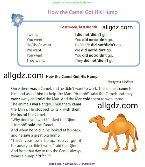 Английский язык (english), 3 класс Учебник (Student's book), авторы: Быкова Надежда Ильинична (Bykova Nadezhda), Дули Дженни (Dooley Jenny), Поспелова Марина Давидовна (Pospelova Marina), Эванс Вирджиния (Evans Virginia), издательство Просвещение, Москва, 2023, зелёного цвета, Часть 2, страница 19, номер 1, Условие