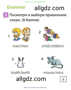 Английский язык (english), 3 класс Учебник (Student's book), авторы: Быкова Надежда Ильинична (Bykova Nadezhda), Дули Дженни (Dooley Jenny), Поспелова Марина Давидовна (Pospelova Marina), Эванс Вирджиния (Evans Virginia), издательство Просвещение, Москва, 2023, зелёного цвета, Часть 2, страница 20, номер 3, Условие