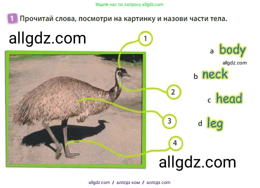 Английский язык (english), 3 класс Учебник (Student's book), авторы: Быкова Надежда Ильинична (Bykova Nadezhda), Дули Дженни (Dooley Jenny), Поспелова Марина Давидовна (Pospelova Marina), Эванс Вирджиния (Evans Virginia), издательство Просвещение, Москва, 2023, зелёного цвета, Часть 2, страница 17, номер 1, Условие