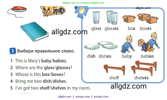 Английский язык (english), 3 класс Учебник (Student's book), авторы: Быкова Надежда Ильинична (Bykova Nadezhda), Дули Дженни (Dooley Jenny), Поспелова Марина Давидовна (Pospelova Marina), Эванс Вирджиния (Evans Virginia), издательство Просвещение, Москва, 2023, зелёного цвета, Часть 2, страница 28, номер 3, Условие