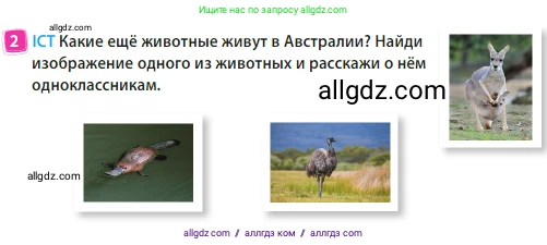 Английский язык (english), 3 класс Учебник (Student's book), авторы: Быкова Надежда Ильинична (Bykova Nadezhda), Дули Дженни (Dooley Jenny), Поспелова Марина Давидовна (Pospelova Marina), Эванс Вирджиния (Evans Virginia), издательство Просвещение, Москва, 2023, зелёного цвета, Часть 2, страница 81, номер 2, Условие