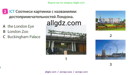 Английский язык (english), 3 класс Учебник (Student's book), авторы: Быкова Надежда Ильинична (Bykova Nadezhda), Дули Дженни (Dooley Jenny), Поспелова Марина Давидовна (Pospelova Marina), Эванс Вирджиния (Evans Virginia), издательство Просвещение, Москва, 2023, зелёного цвета, Часть 1, страница 80, номер 2, Условие
