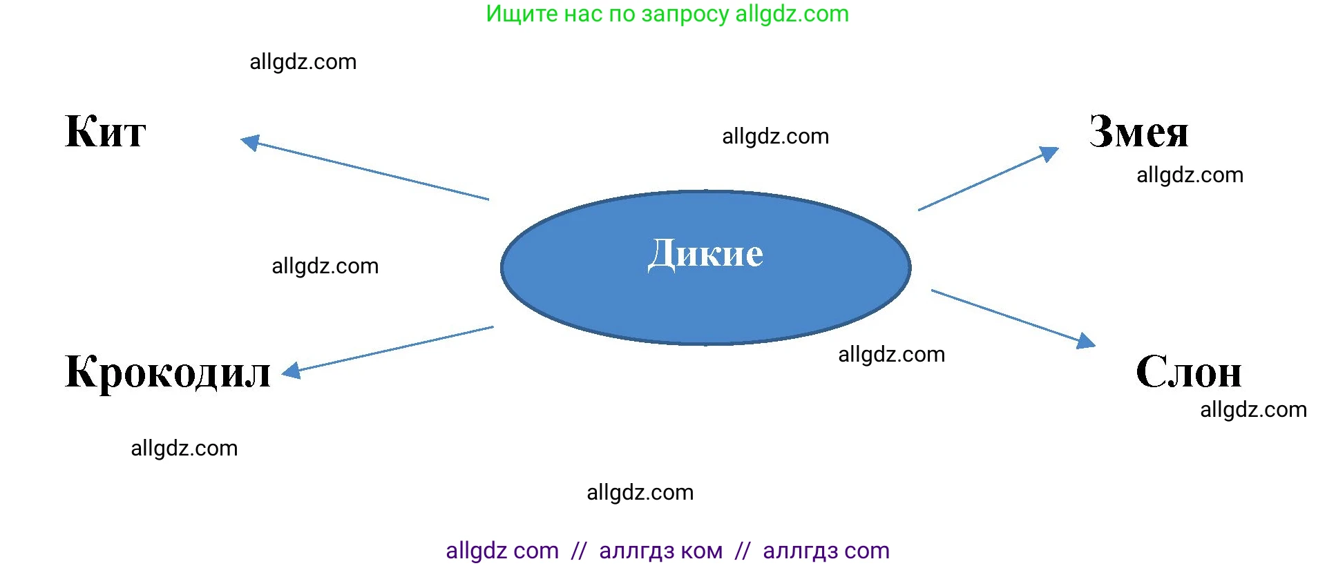 Английский язык (english), 3 класс Учебник (Student's book), авторы: Быкова Надежда Ильинична (Bykova Nadezhda), Дули Дженни (Dooley Jenny), Поспелова Марина Давидовна (Pospelova Marina), Эванс Вирджиния (Evans Virginia), издательство Просвещение, Москва, 2023, зелёного цвета, Часть 2, страница 13, номер 5, Решение 1 (продолжение 2)