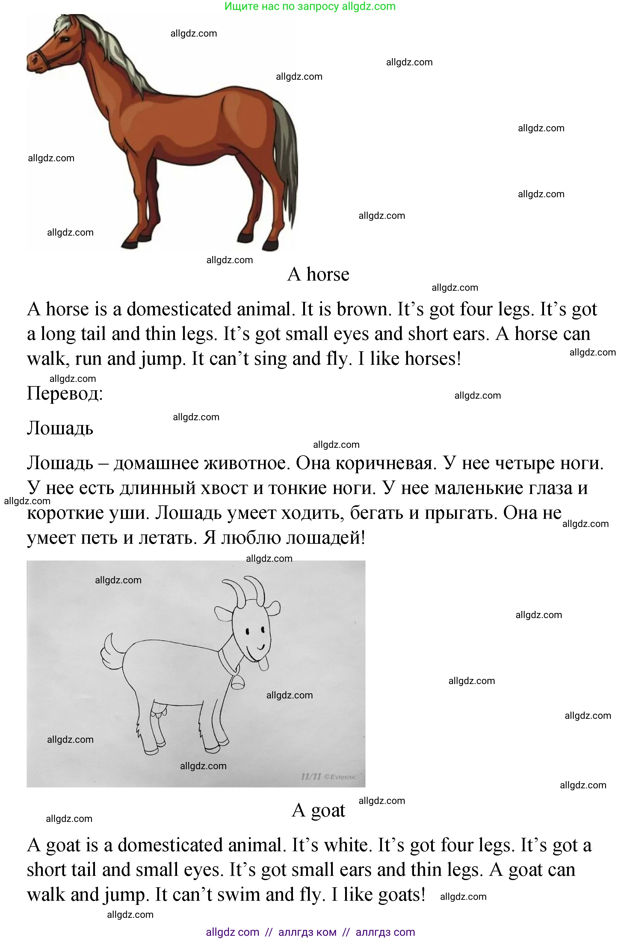 Английский язык (english), 3 класс Учебник (Student's book), авторы: Быкова Надежда Ильинична (Bykova Nadezhda), Дули Дженни (Dooley Jenny), Поспелова Марина Давидовна (Pospelova Marina), Эванс Вирджиния (Evans Virginia), издательство Просвещение, Москва, 2023, зелёного цвета, Часть 2, страница 13, номер 6, Решение 1 (продолжение 3)