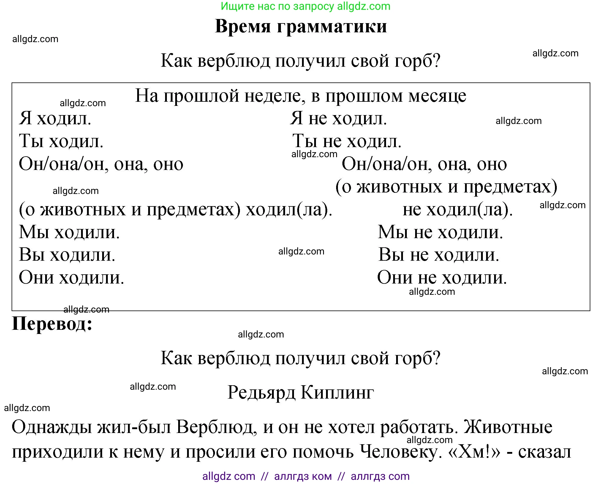 Английский язык (english), 3 класс Учебник (Student's book), авторы: Быкова Надежда Ильинична (Bykova Nadezhda), Дули Дженни (Dooley Jenny), Поспелова Марина Давидовна (Pospelova Marina), Эванс Вирджиния (Evans Virginia), издательство Просвещение, Москва, 2023, зелёного цвета, Часть 2, страница 19, номер 1, Решение 1