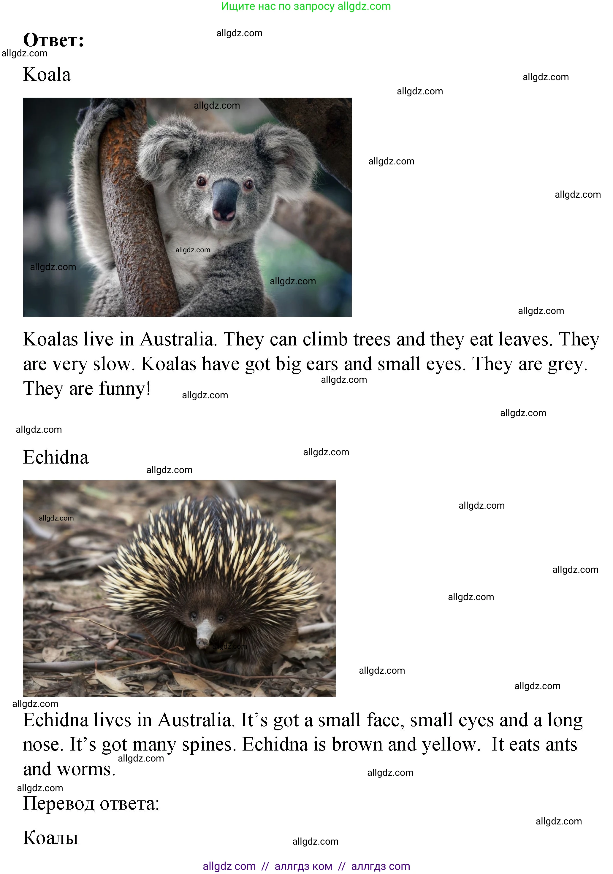 Английский язык (english), 3 класс Учебник (Student's book), авторы: Быкова Надежда Ильинична (Bykova Nadezhda), Дули Дженни (Dooley Jenny), Поспелова Марина Давидовна (Pospelova Marina), Эванс Вирджиния (Evans Virginia), издательство Просвещение, Москва, 2023, зелёного цвета, Часть 2, страница 81, номер 2, Решение 1 (продолжение 2)