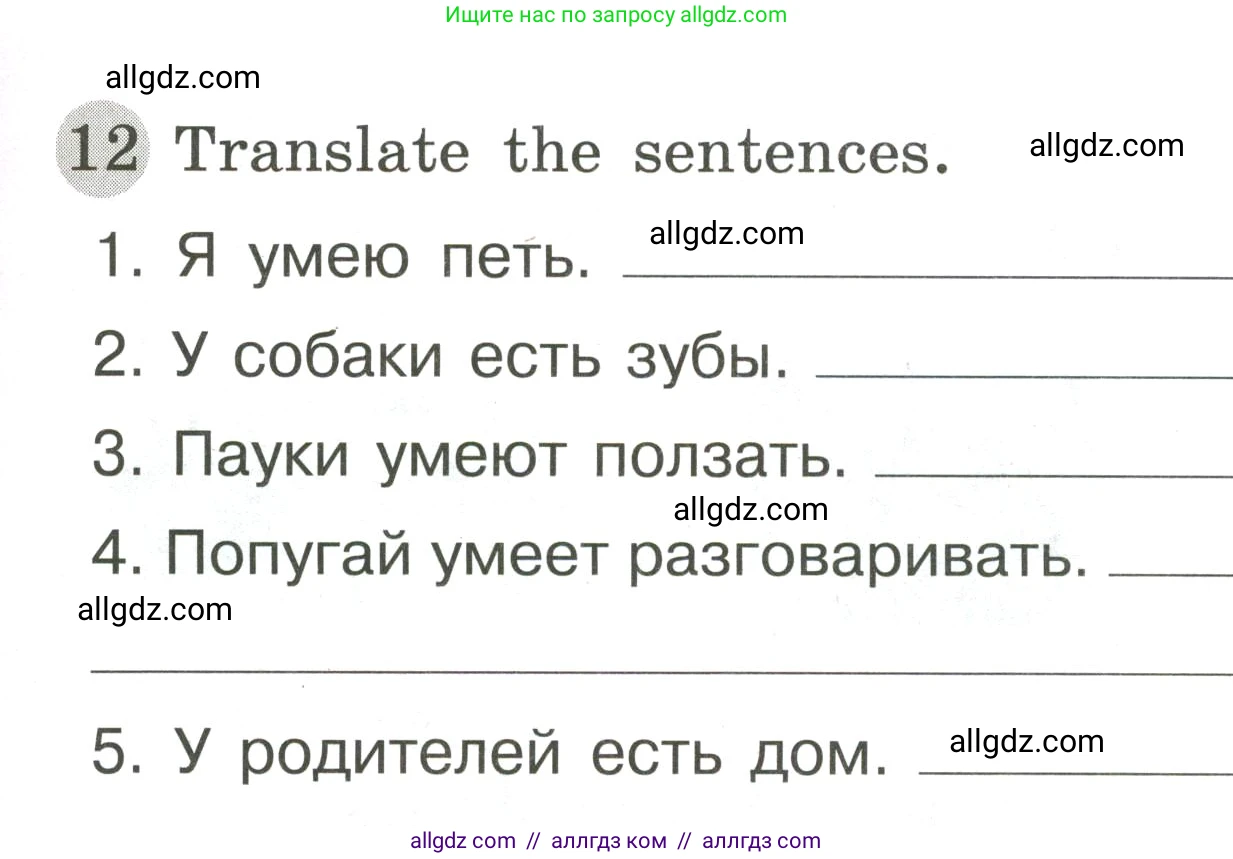 Английский язык (english), 3 класс Грамматический тренажёр, автор: Юшина Дарья Генадьевна, издательство Просвещение, Москва, 2023, салатового цвета, страница 55, номер 12, Условие