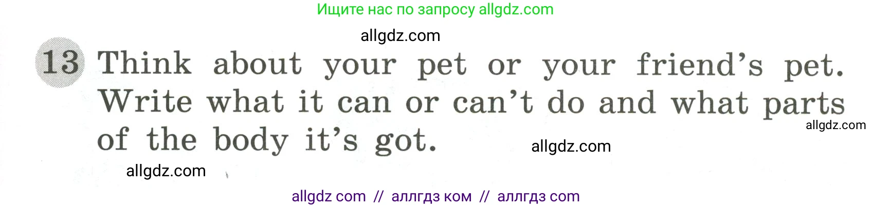Английский язык (english), 3 класс Грамматический тренажёр, автор: Юшина Дарья Генадьевна, издательство Просвещение, Москва, 2023, салатового цвета, страница 55, номер 13, Условие