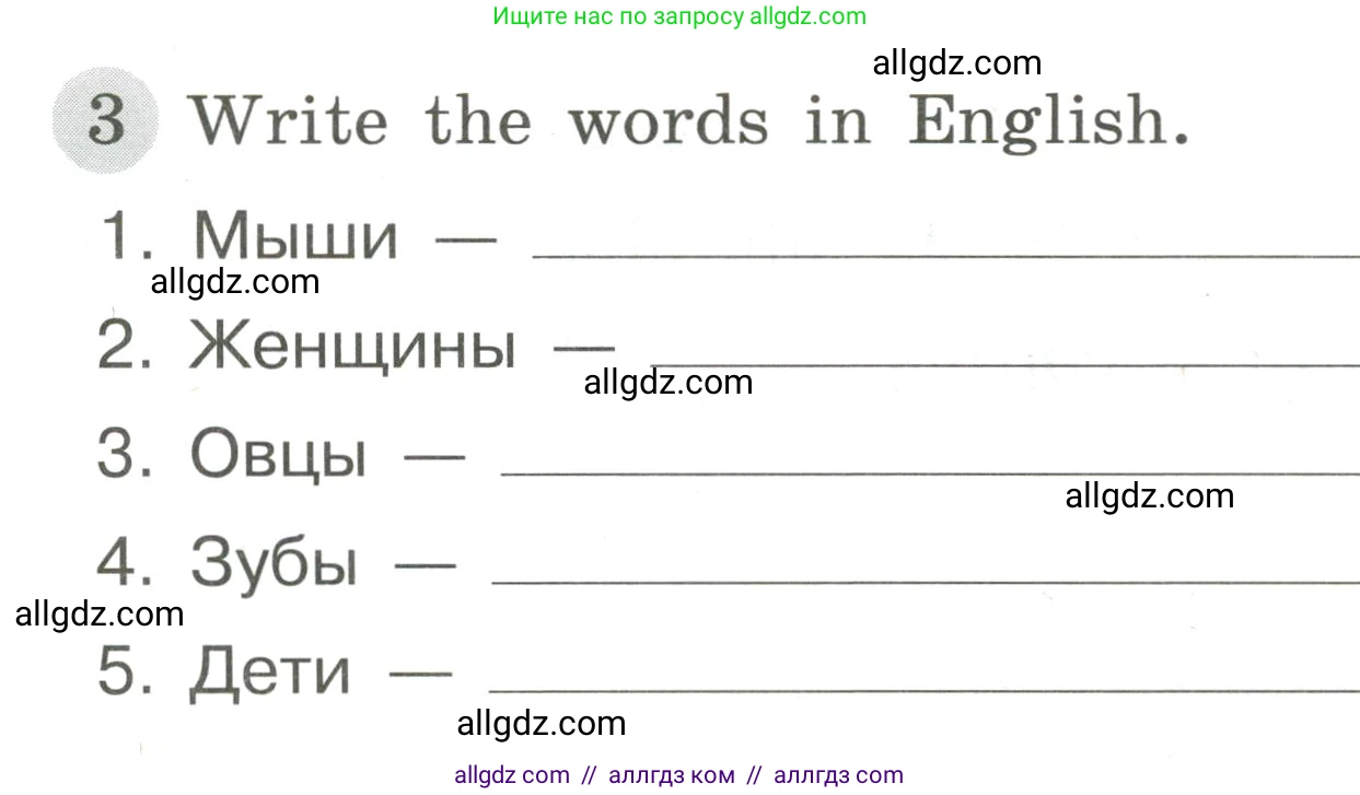 Английский язык (english), 3 класс Грамматический тренажёр, автор: Юшина Дарья Генадьевна, издательство Просвещение, Москва, 2023, салатового цвета, страница 50, номер 3, Условие