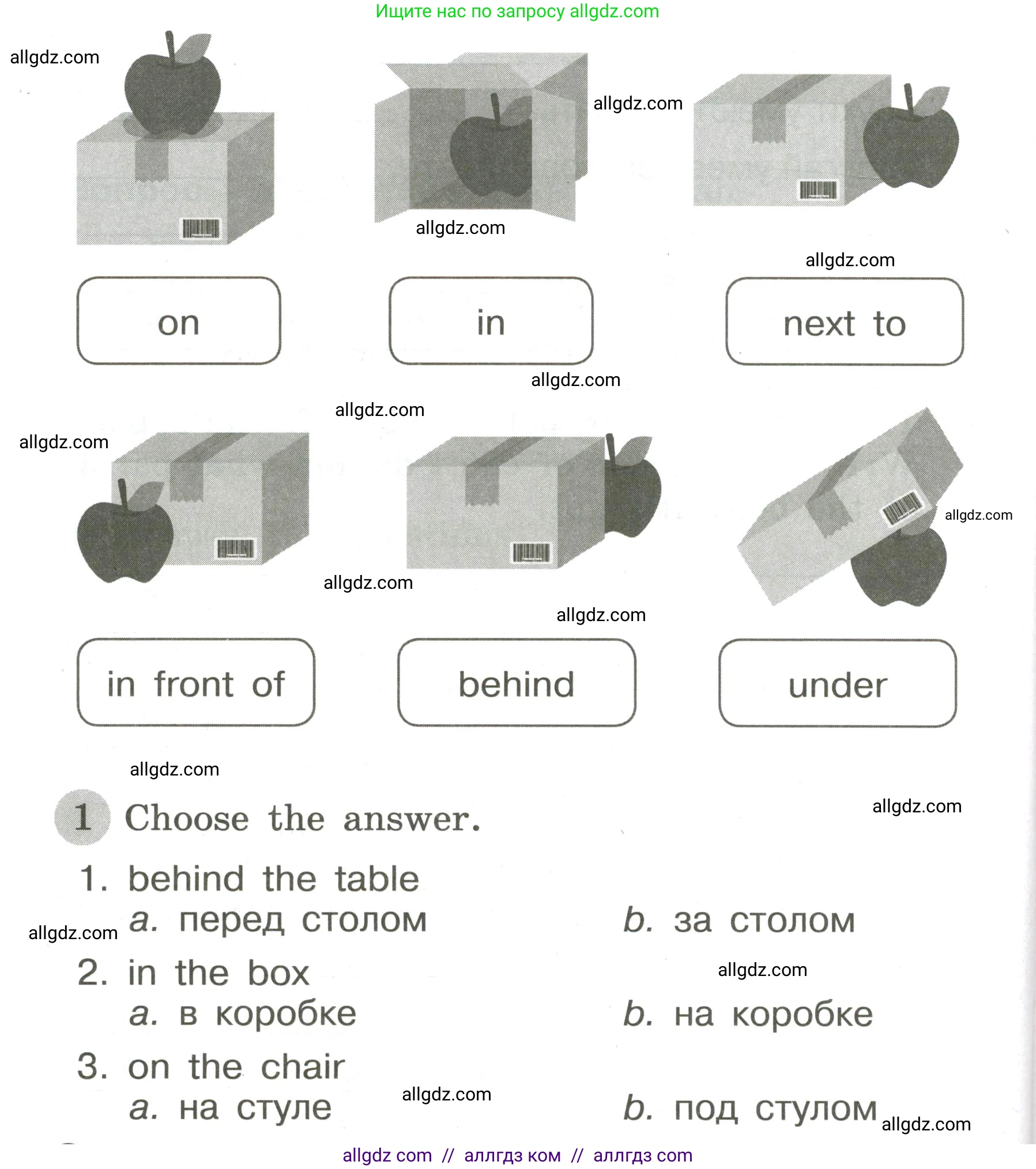 Английский язык (english), 3 класс Грамматический тренажёр, автор: Юшина Дарья Генадьевна, издательство Просвещение, Москва, 2023, салатового цвета, страница 56, номер 1, Условие