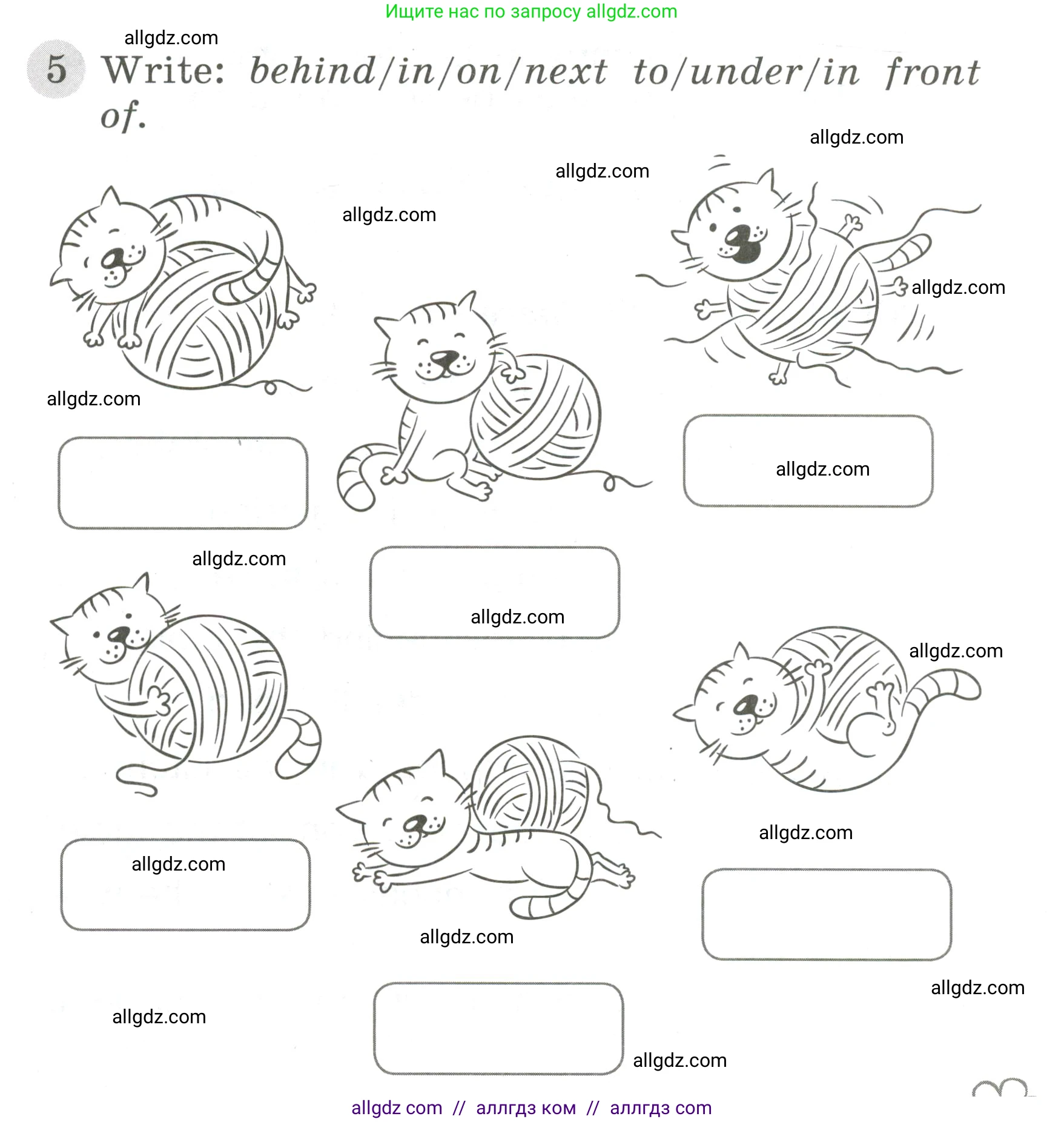 Английский язык (english), 3 класс Грамматический тренажёр, автор: Юшина Дарья Генадьевна, издательство Просвещение, Москва, 2023, салатового цвета, страница 59, номер 5, Условие