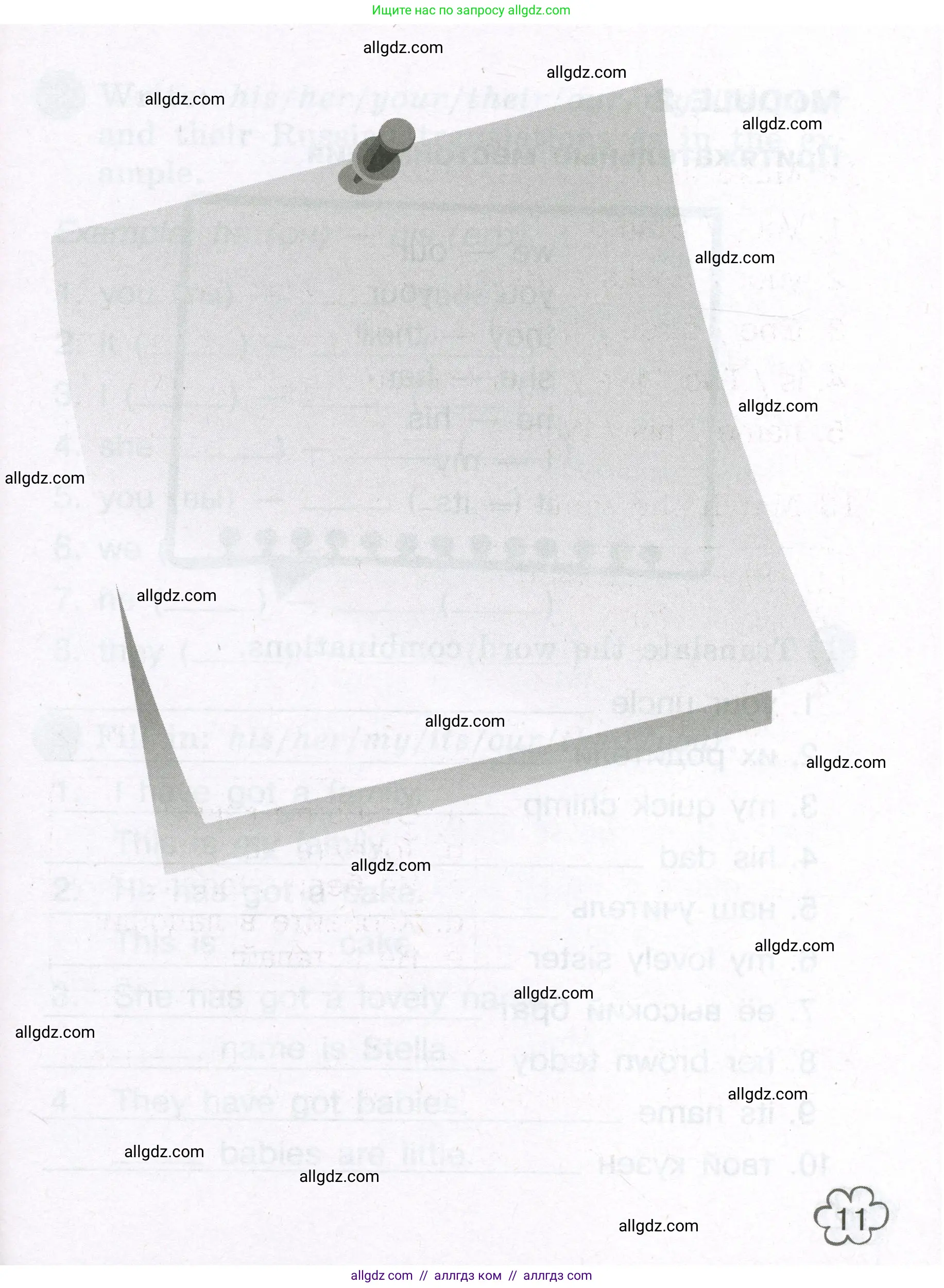 Английский язык (english), 3 класс Грамматический тренажёр, автор: Юшина Дарья Генадьевна, издательство Просвещение, Москва, 2023, салатового цвета, страница 11