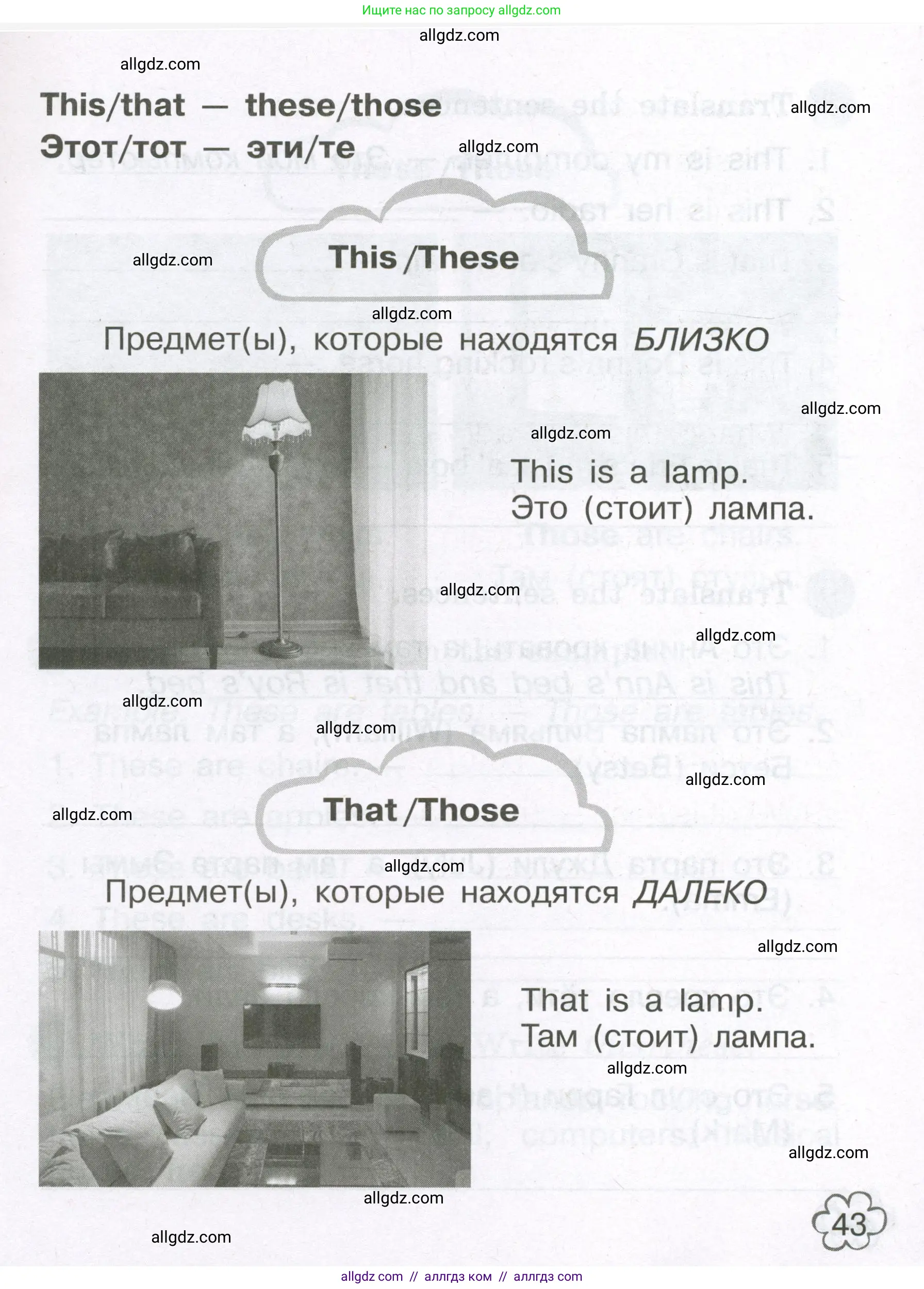 Английский язык (english), 3 класс Грамматический тренажёр, автор: Юшина Дарья Генадьевна, издательство Просвещение, Москва, 2023, салатового цвета, страница 43