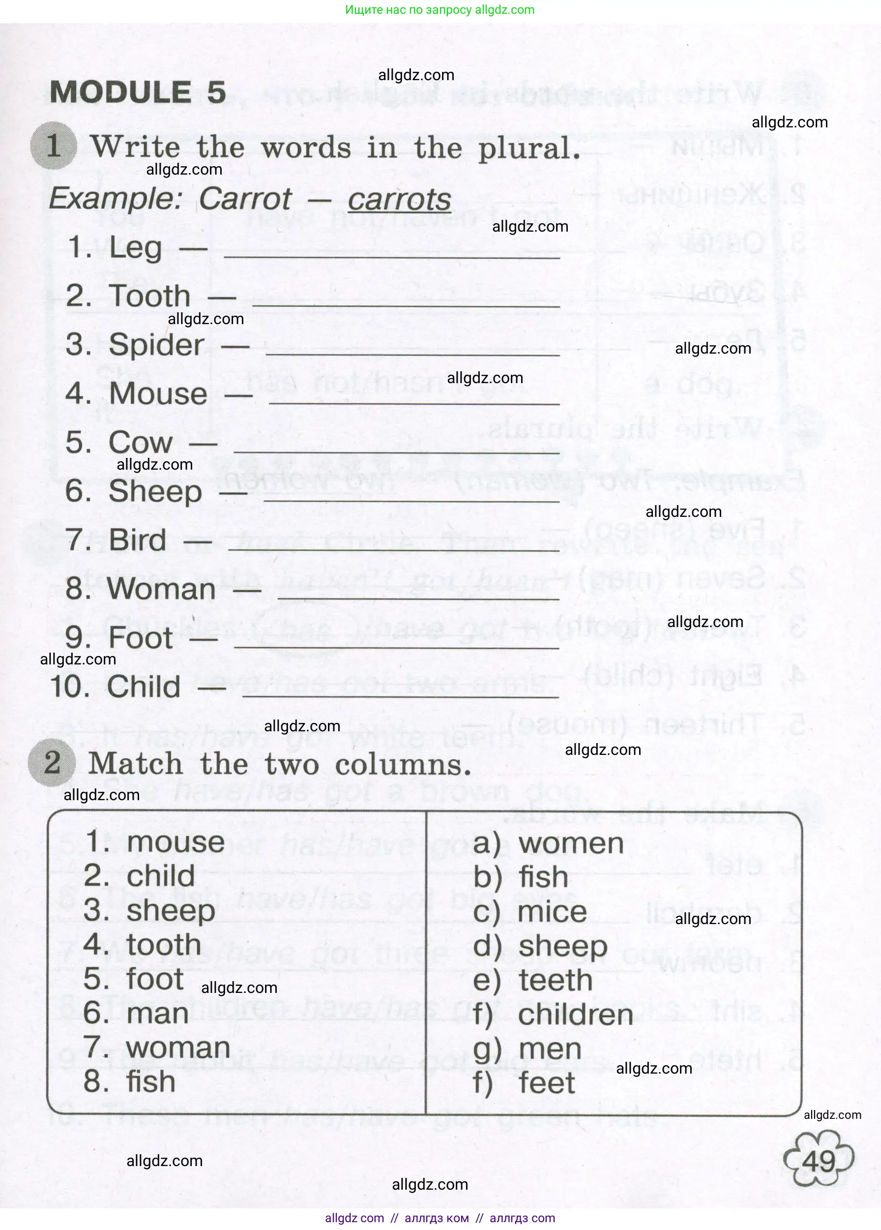 Английский язык (english), 3 класс Грамматический тренажёр, автор: Юшина Дарья Генадьевна, издательство Просвещение, Москва, 2023, салатового цвета, страница 49