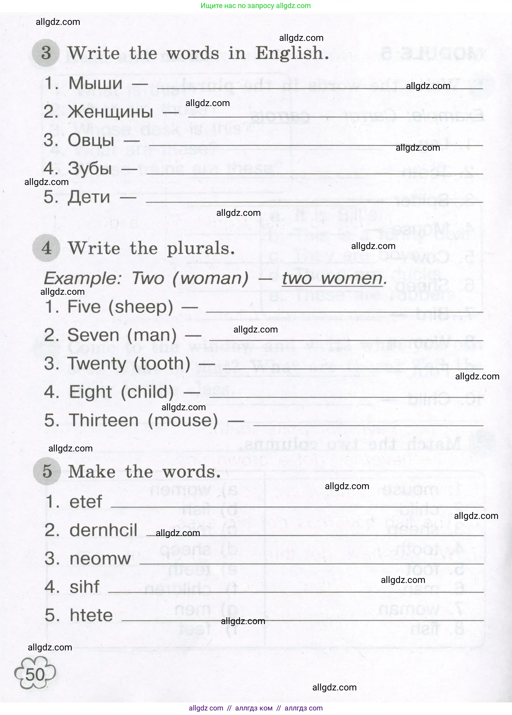 Английский язык (english), 3 класс Грамматический тренажёр, автор: Юшина Дарья Генадьевна, издательство Просвещение, Москва, 2023, салатового цвета, страница 50