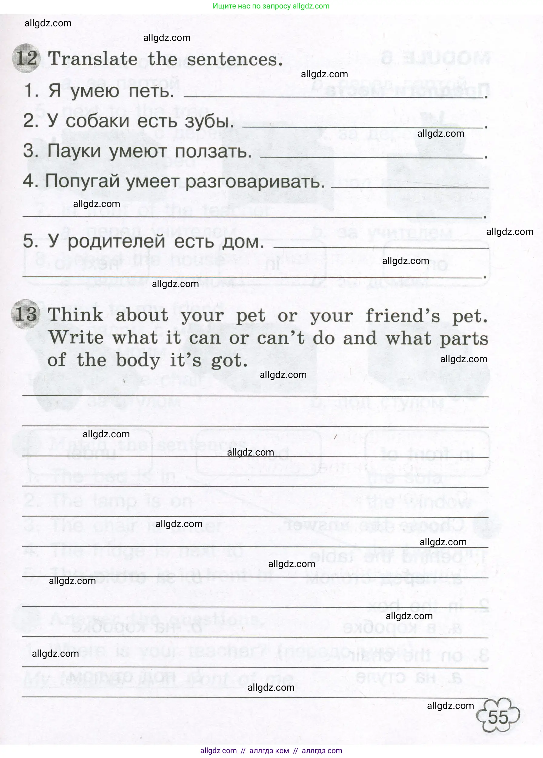 Английский язык (english), 3 класс Грамматический тренажёр, автор: Юшина Дарья Генадьевна, издательство Просвещение, Москва, 2023, салатового цвета, страница 55