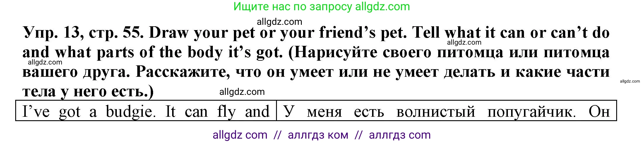 Английский язык (english), 3 класс Грамматический тренажёр, автор: Юшина Дарья Генадьевна, издательство Просвещение, Москва, 2023, салатового цвета, страница 55, номер 13, Решение