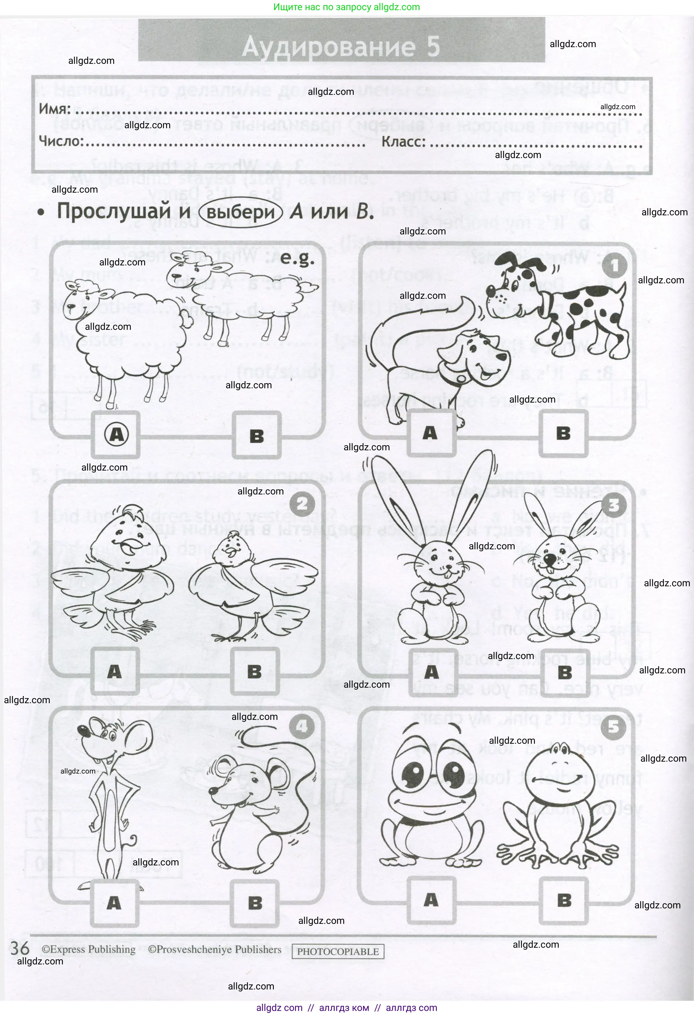 Английский язык (english), 3 класс контрольные задания (test booklet), авторы: Быкова Надежда Ильинична (Bykova Nadezhda), Дули Дженни (Dooley Jenny), Поспелова Марина Давидовна (Pospelova Marina), Эванс Вирджиния (Evans Virginia), издательство Просвещение, Москва, 2023, салатового цвета, страница 36
